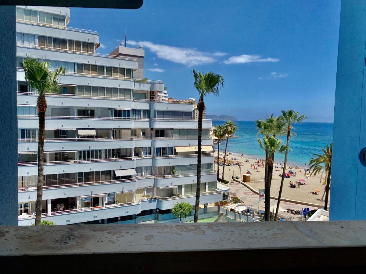 Hipocampo 25-a * Calp